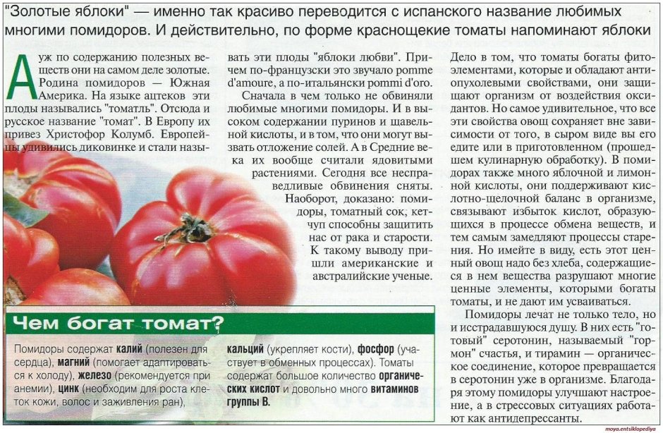 Полезные вещества в томатах