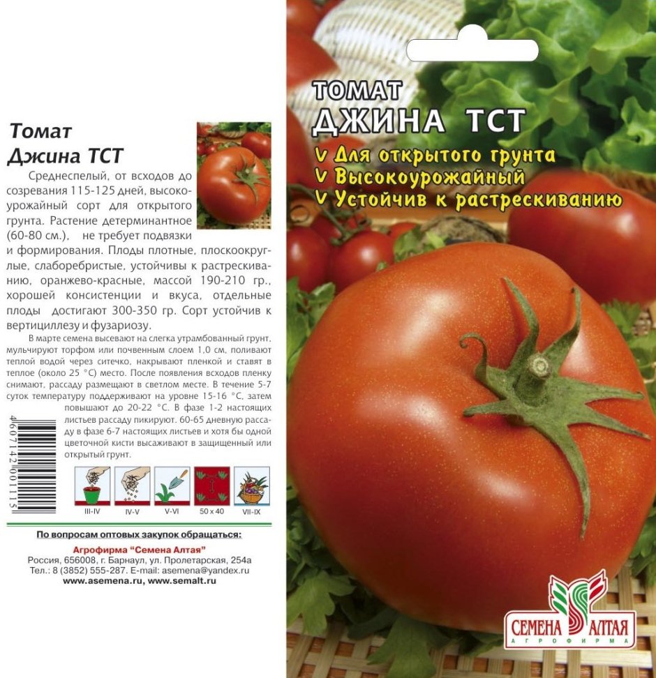 Сорт Джина ТСТ помидоры