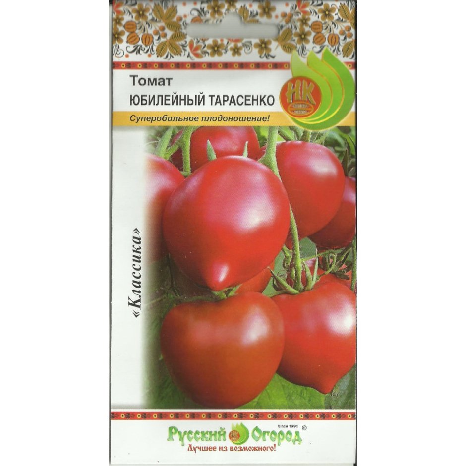 Сорт Джина ТСТ помидоры