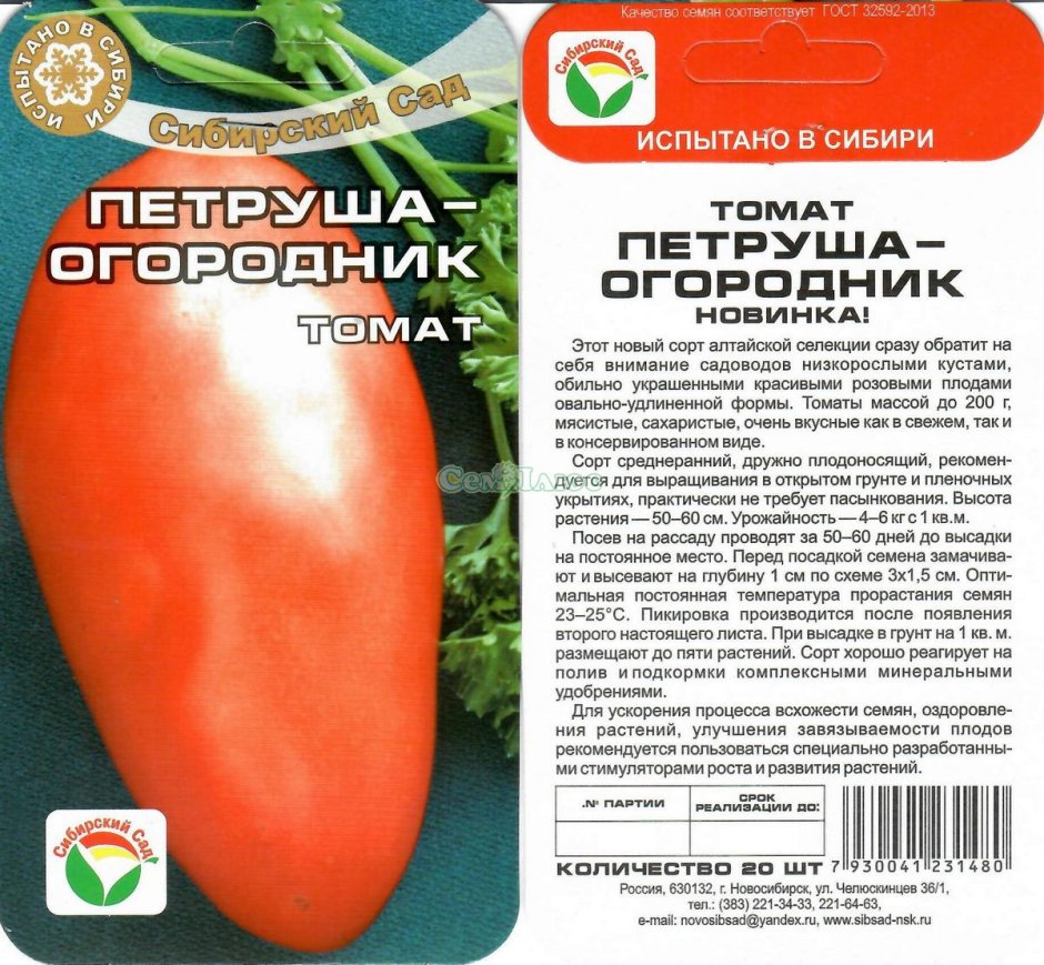 Сорт помидор Петруша огородник
