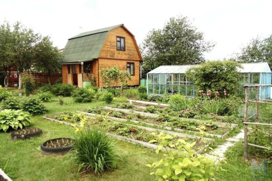 Дачный домик с огородом