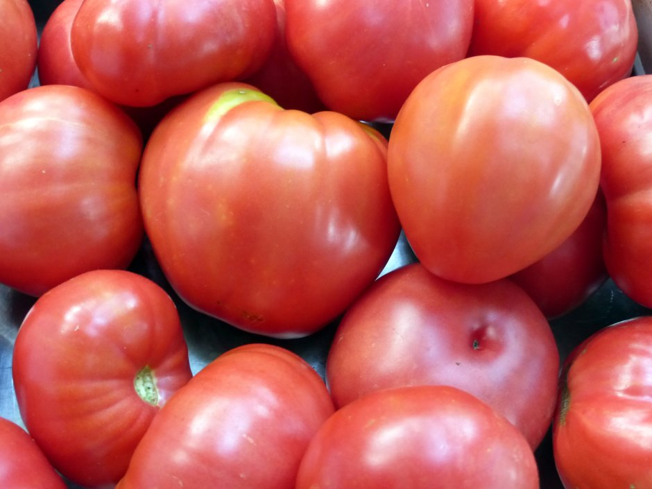 Рыжастик Нибиру томат
