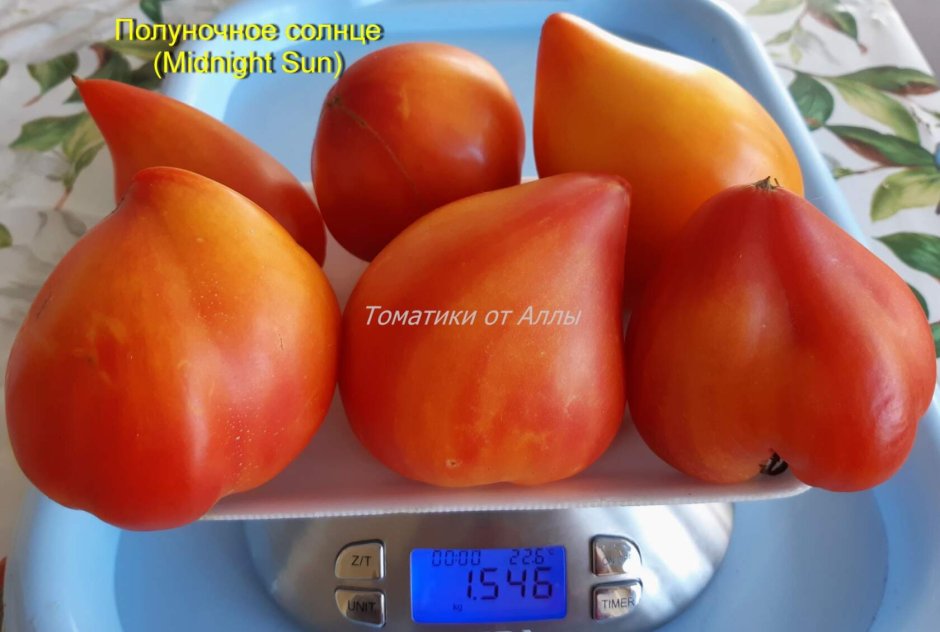 Семена томат красная Комета f1