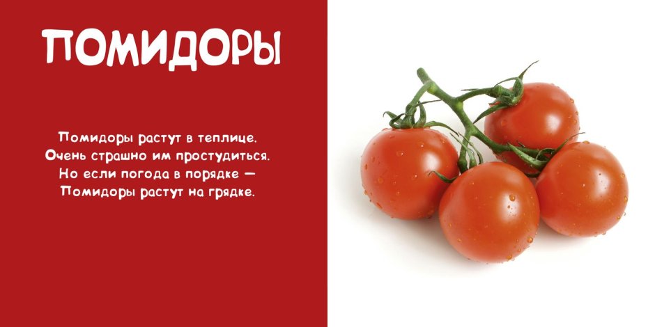 Реклама помидор