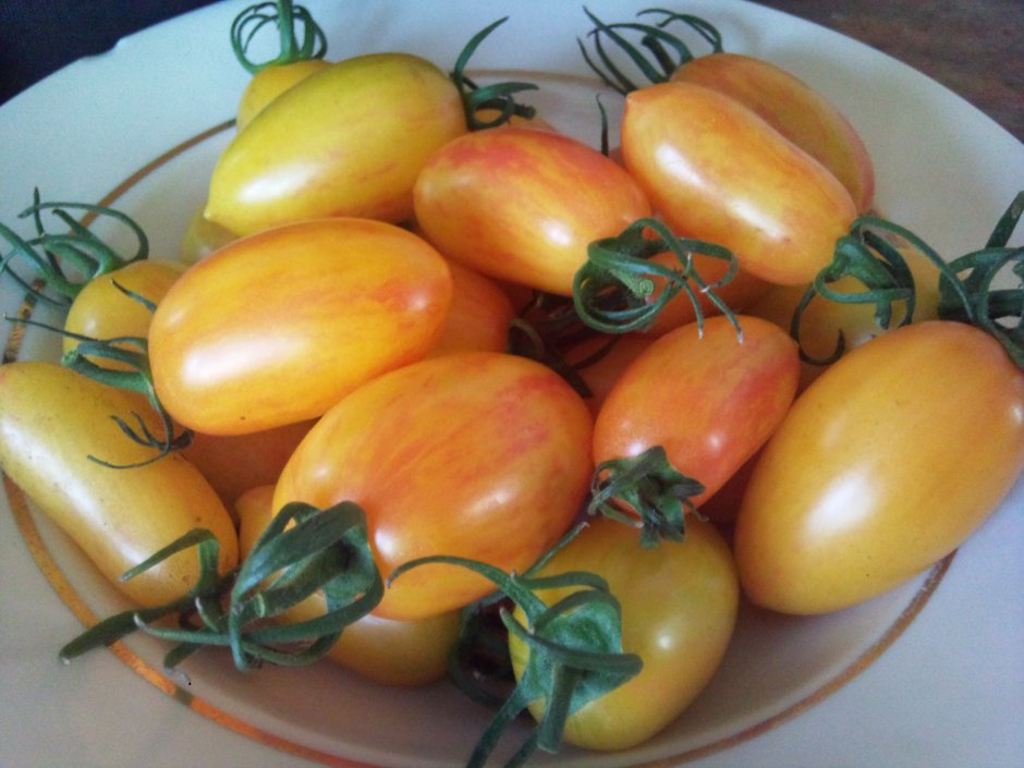 Блаш румянец томат