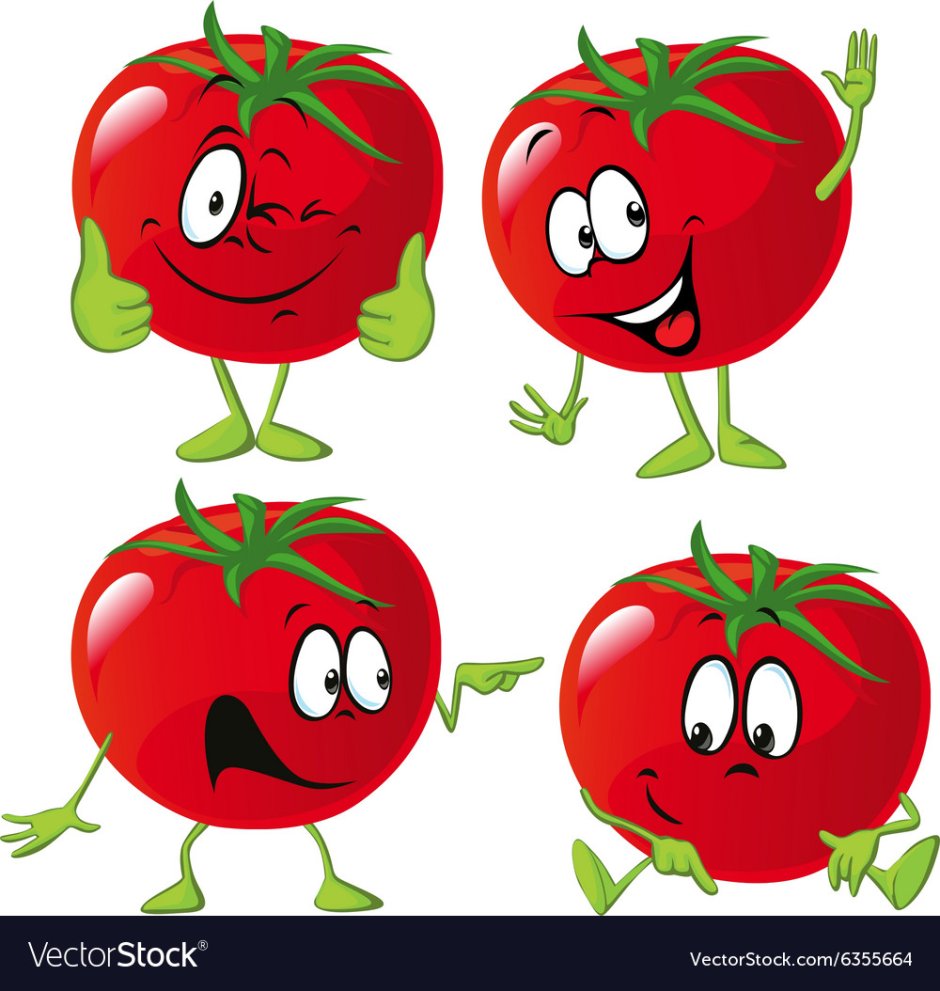 Красивое поле томатов