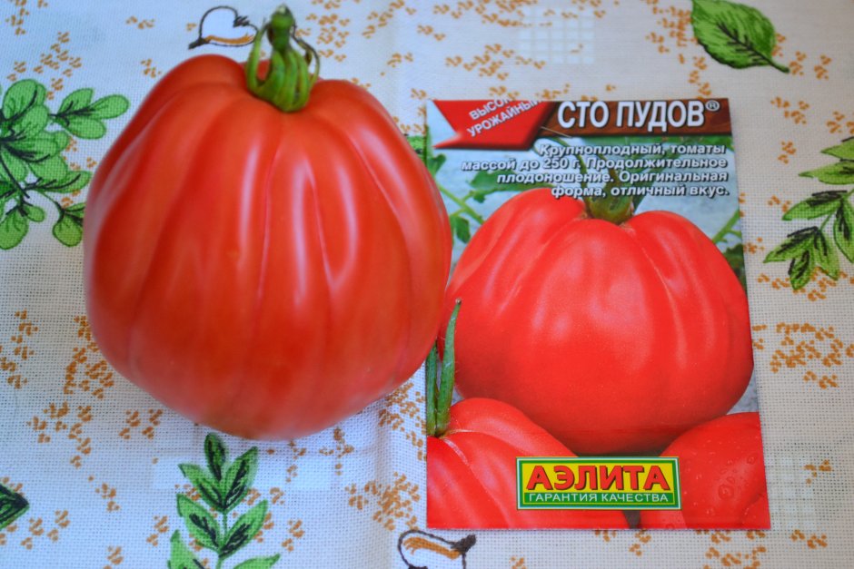 Семена томат СТО пудов Аэлита
