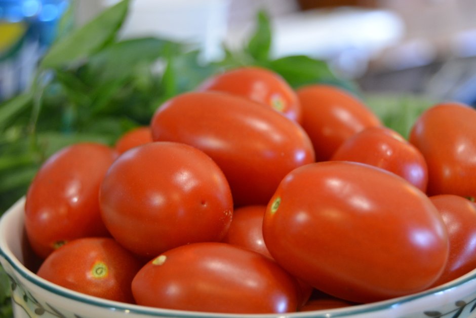 Разнообразие томатов
