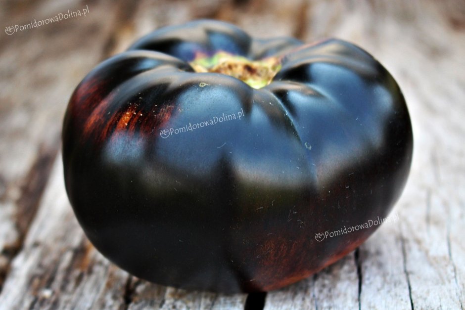 Черный Принс помидоры