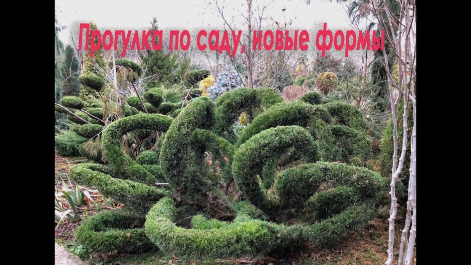 Ботанический сад Руслана Хупова