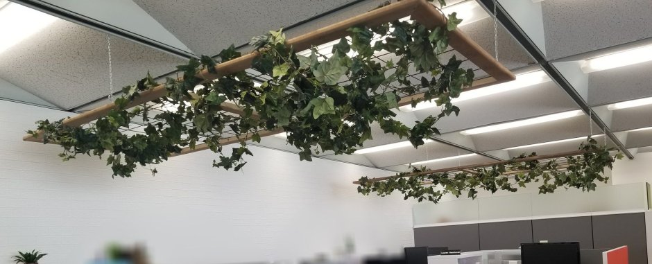 Искусственные растения на потолок