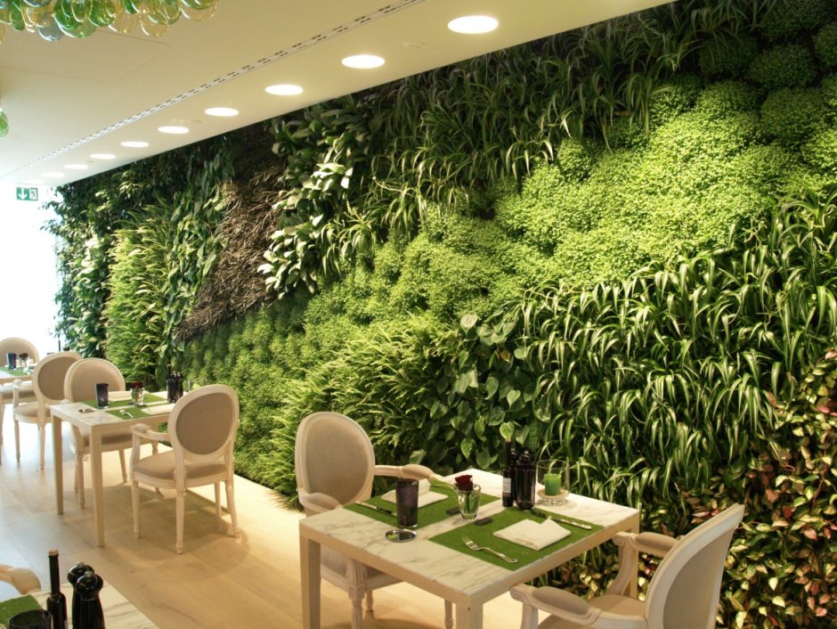 Озеленение стен в интерьере