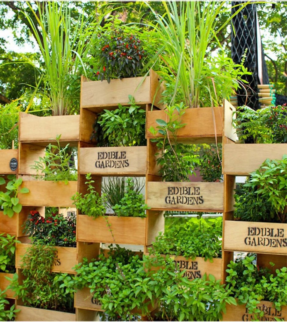 Ящики для зелени в саду