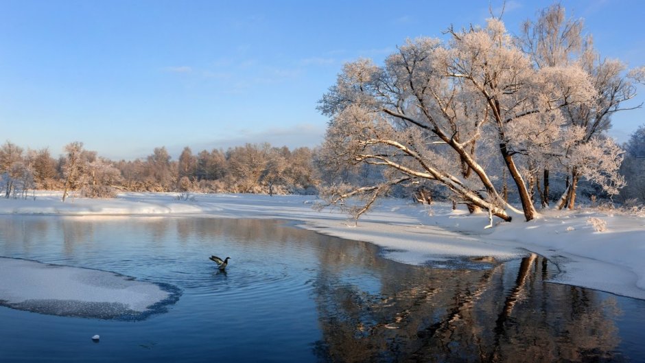 Зимняя река полынья