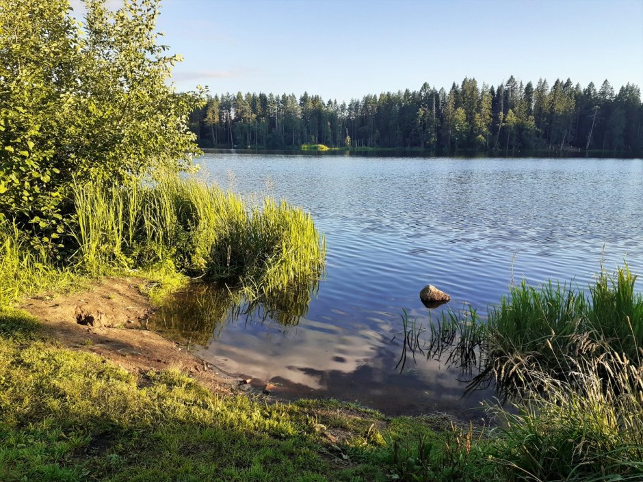 Малое Лебяжье озеро в Казани