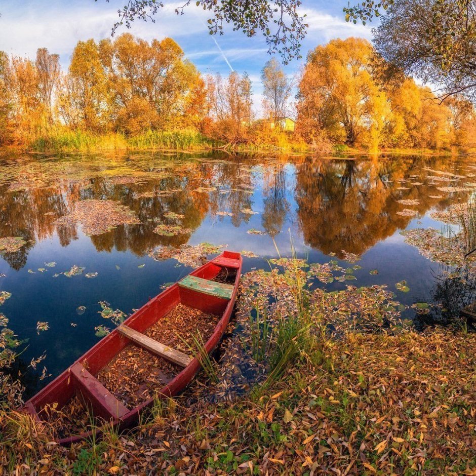 Воронеж река Усмань осень