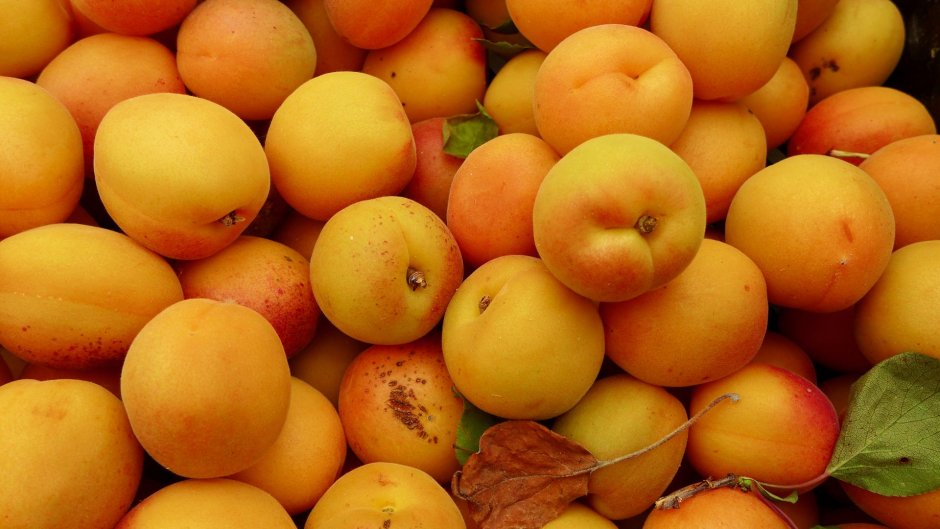 Персик фрукт